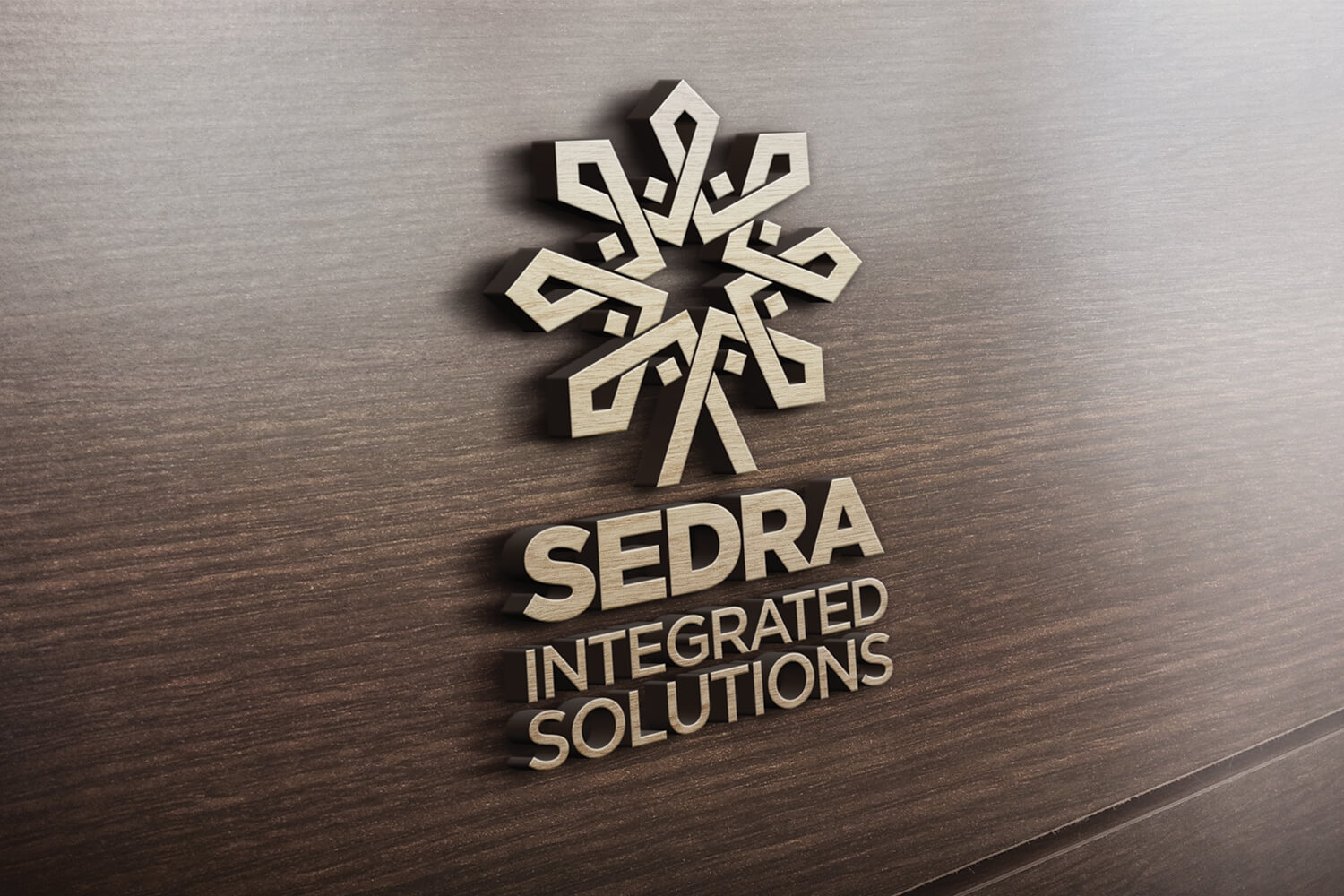 SEDRA-Integrated-Solutions-03